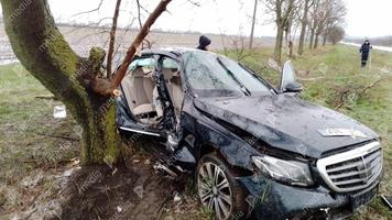 (FOTO) Grav accident, la Sîngerei. O familie cu copii s-au izbit violent cu un bolid de lux într-un copac