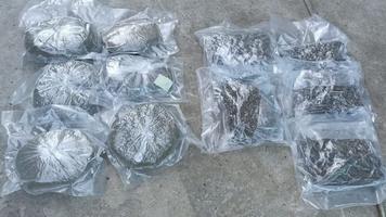 Patru kilograme de marijuana ridicate în cadrul unor percheziții efectuate astăzi de polițiștii și procurorii din UTA Găgăuzia