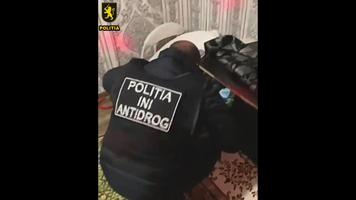 (VIDEO) Două femei și doi bărbați, încătușați de INI pentru comerț de marijuana și „sare”