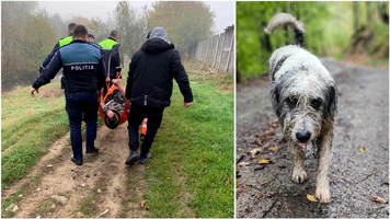 Un câine a salvat viața unui om