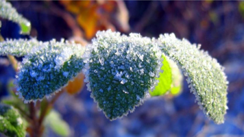 Meteorologii anunță Cod galben de înghețuri pe întreg teritoriul țării