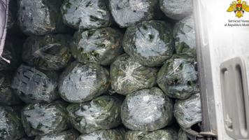 Contrabandă „verde”, la Fălești. Microbuz burdușit cu castraveți, tras pe dreapta de vameși