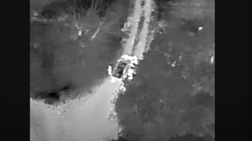 (VIDEO) Grupare criminală specializată în migrație ilegală, destructurată de Poliția de Frontieră la Ungheni
