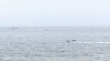 Un avion s-a prăbușit în ocean, în largul coastei San Diego. Toate persoanele aflate la bord au murit
