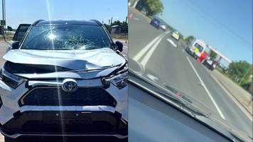 Biciclist spulberat mortal de o Toyota, la Telenești