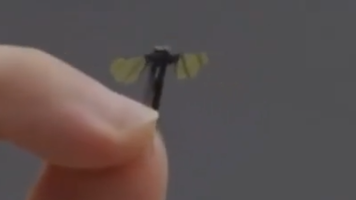 (VIDEO) Noua dronă „țânțar“ a Chinei stârnește îngrijorare
