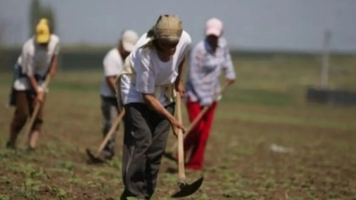 Peste 3.000 de persoane care munceau „la negru” pentru sute de agenți economici, depistate de la începutul anului
