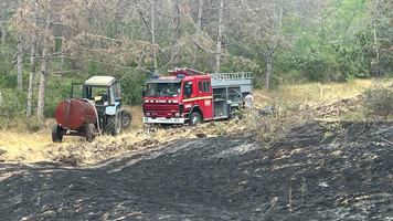 (FOTO) Incendiu devastator la Căușeni. Circa 10 ha de vegetație uscată și 3 ha de pădure, făcute scrum