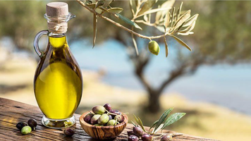 Producătorii de ulei de măsline din Grecia și cultivatorii, disperați din cauza hoților: 37 de tone furate dintr-o fabrică din Halkidiki
