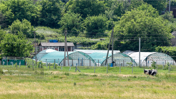 ODA relansează granturi pentru afaceri