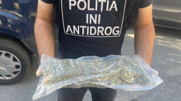 (VIDEO) Marijuana, mefedronă și mii de pastile ecstasy, introduse în țară prin contrabandă, ridicate de ofițerii Antidrog