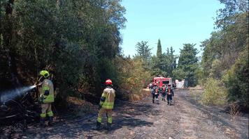(FOTO) Pompierii din R. Moldova, detașați în Grecia, au intervenit în prima lor misiune de lichidare a unui incendiu de pădure