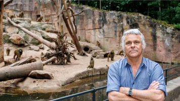 Directorul unei grădini zoologice din Germania, amenințat cu moartea după eutanasierea a 12 babuini