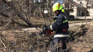 Peste 40 de misiuni au fost întreprinse de salvatori și pompieri în urma intensificării vântului și ploilor