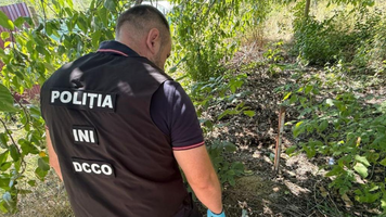 (VIDEO) Hașiș, amfetaminǎ și PVP, în valoare de 400 de mii de lei, ridicate de ofițerii de investigație