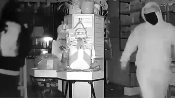 (VIDEO) Păpușile Labubu - prada hoților mascați: jaf de 7.000 de dolari, în SUA
