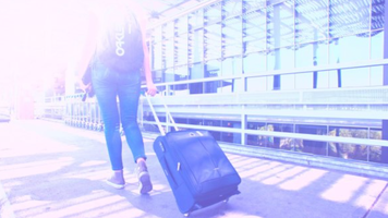 O femeie a orchestrat o escrocherie turistică de 1,8 milioane de lei