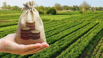 AIPA a autorizat plăți de peste 9,6 milioane de lei pentru agricultori, săptămâna trecută