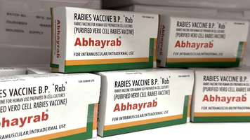 CNAM alocă peste 407 mii lei pentru achiziția a peste 3 200 doze de vaccin antirabic