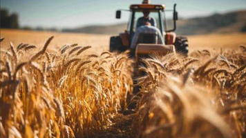Subvenții de 100 de milioane de lei pentru agricultorii ale căror culturi au fost afectate de înghețurile din primăvară