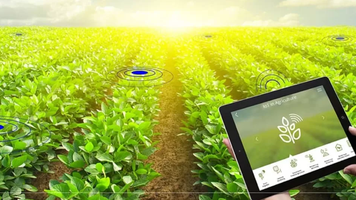 În Moldova va fi creat primul parc industrial dedicat inovațiilor digitale în agricultură