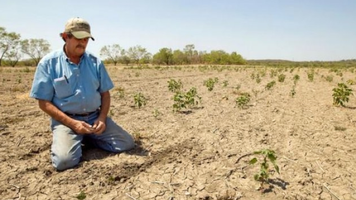 „Nu toți agricultorii sunt milionari de vitrină” – Forța Fermierilor acuză Guvernul de manipulare în fața UE