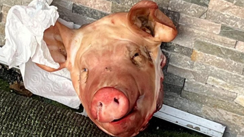 Cel puţin cinci capete de porc au fost descoperite în faţa unor moschei din Paris. Pe unul din ele scria „Macron”