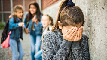 Ministerul Educației și MAI lansează un parteneriat pentru prevenirea violenței în școli