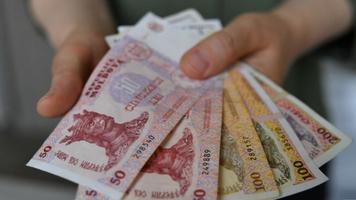 https://bani.md/gaura-financiara-moldovenii-consuma-pe-credit-iar-economia-a-intrat-pe-minus/