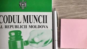 Codul muncii ar putea fi modificat: concediile vor putea fi amânate până la trei ani, iar statele de personal devin opționale