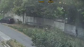(VIDEO) Cuplu reținut de INI pentru trafic de droguri în Chișinău. Cei doi foloseau copilul ca să nu fie prinși