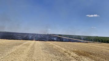 A dat foc unei miriști pe timp de caniculă
