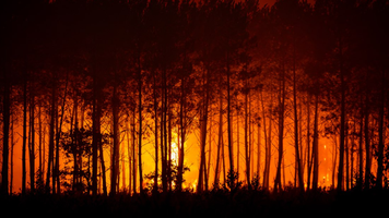 Incendiu