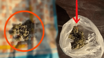 cânepă și masă vegetală cu miros de marijuana