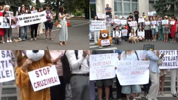 protest