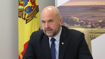 Vladimir Bolea