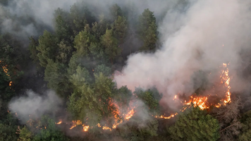 Incendiu