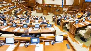 Ședință plenară