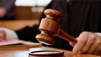 „A ucis un câine cu lopata”. Două persoane amendate pentru cruzime față de animale în nordul R.Moldova