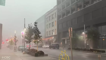 furtuna toronto