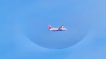 avion