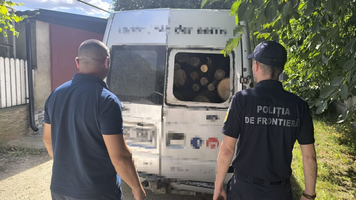 Material lemnos fără acte de proveniență