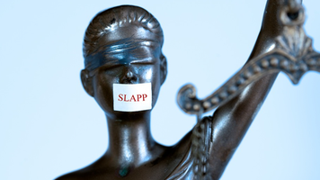 Parlamentul a votat legea anti-SLAPP. Amenzi de până la 250.000 de lei pentru acțiuni judiciare abuzive