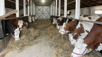 Ferma de animale