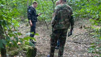 arbori distruși la Fălești