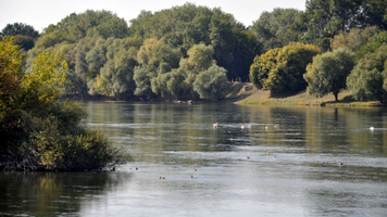 Nistru