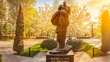 Ion și Doina Aldea-Teodorovici